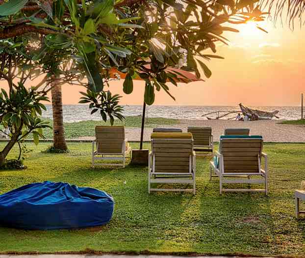 En græsplæne ved en strand med liggestole og træer under en solnedgang. (AI-genereret tekst)