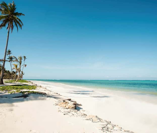 En strand med hvidt sand, palmer og turkis vand. (AI-genereret tekst)