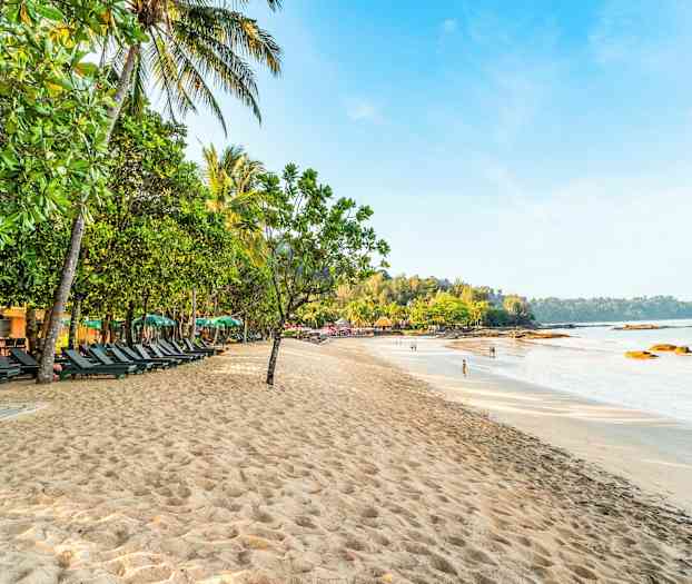 En sandstrand med solsenge placeret i skyggen af grønne træer og palmer, med havet og en skov i baggrunden. (AI-genereret tekst)