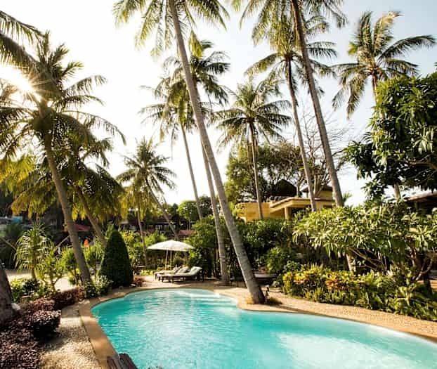 En udendørs pool omgivet af palmer og frodig have. (AI-genereret tekst)