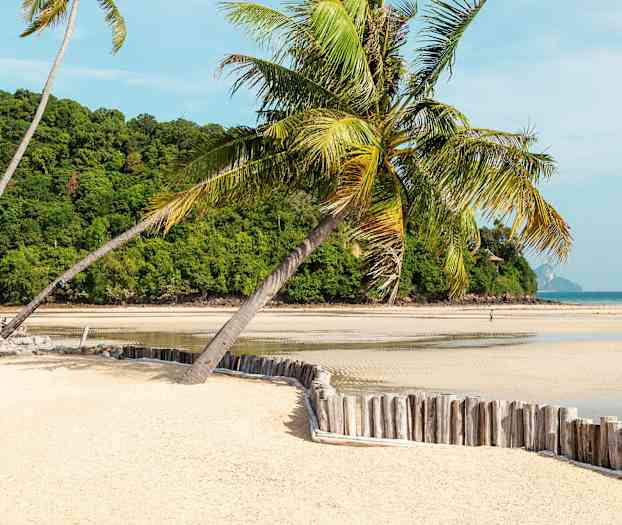 En sandstrand med palmer, en bakke dækket af grønt i baggrunden og havet synligt i baggrunden. (AI-genereret tekst)