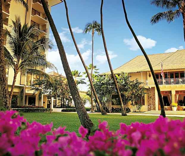 En bygning omgivet af grønne områder med palmer og blomster i forgrunden. (AI-genereret tekst)