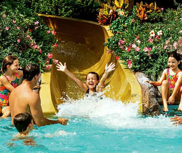 En person glider ned ad en gul vandrutsjebane og lander i en pool omgivet af frodig beplantning og blomster. Andre personer står og sidder i vandet og kigger på. (AI-genereret tekst)