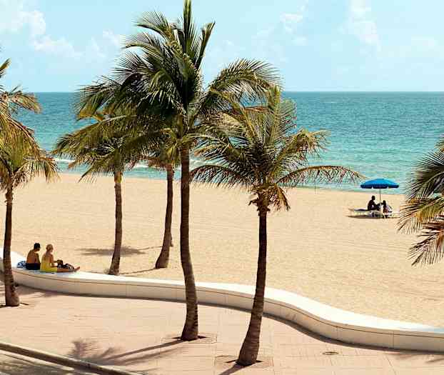 En sandstrand med palmer og et par siddende på en bænk tæt på stranden. (AI-genereret tekst)