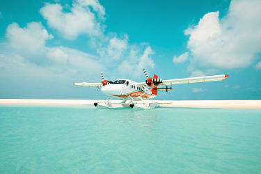 Tips til din rejse til Maldiverne - Vandfly på Maldiverne | Spies