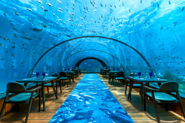 Tips til din rejse til Maldiverne - 5.8 Undersea Restaurant byder på en uforglemmelig madoplevelse. | Spies