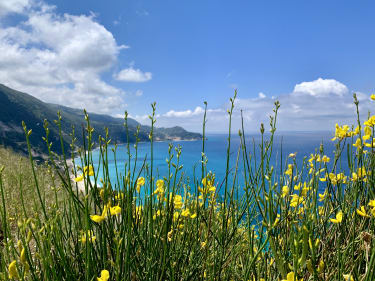 Naturen på Lefkas