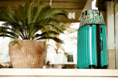 En palme, kuffert og håndbagage