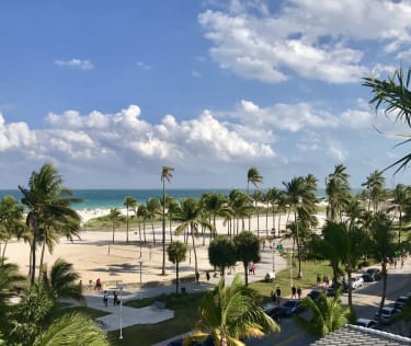 Palmer og promenade ved Miami strand