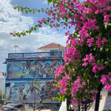 Gadekunst og smukke blomster i Panama City
