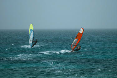 windsurfere