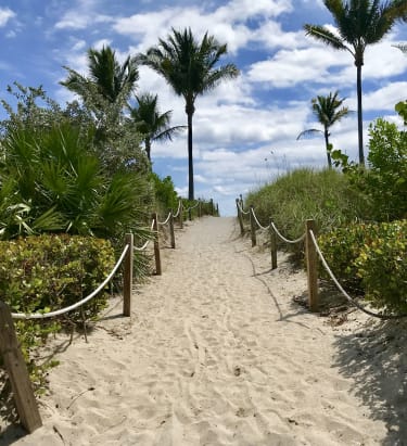 Miami strand med palmer i baggrunden
