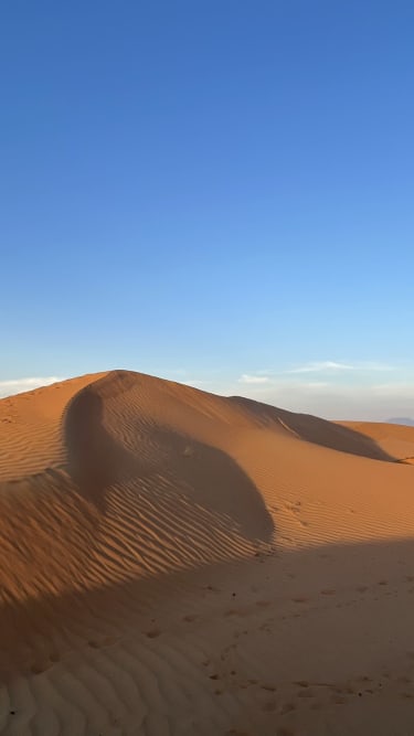 Al Wadi ørkenen