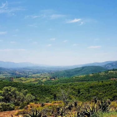 Smuk natur i Eswatini