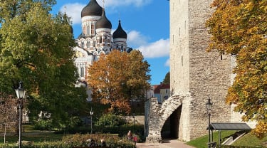 Park i Tallinn