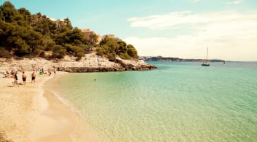 Tilbud på rejser til Mallorca til sommer | Spies