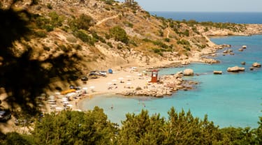 strand og træer på Cypern