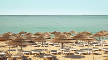 Strand og parasoller på Cypern