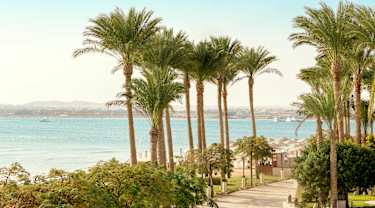 Egypten