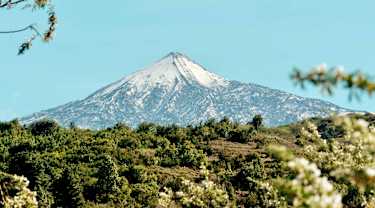 Teide