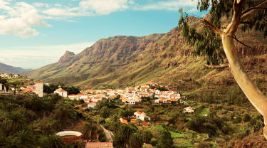 Smuk natur på Gran Canaria