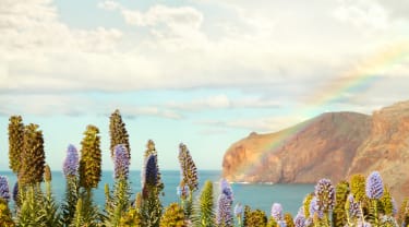 Madeira