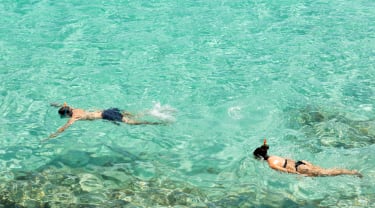 Par snorkler i vandet ved Mallorca