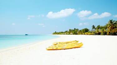 Strandliv på Maldiverne