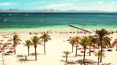 Alcudia Beach Mallorca
