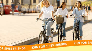 Spies Friends