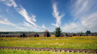 Auschwitz-Birkenau. Foto: Pixabay