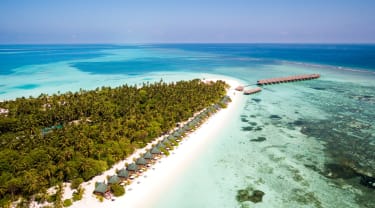 Meeru Island Maldiverne