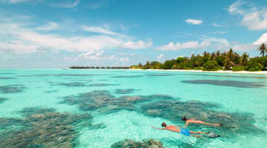 Maldiverne