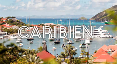 Krydstogter i Caribien