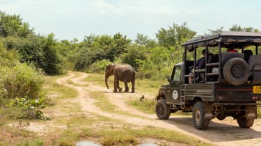 Elefant på vejen