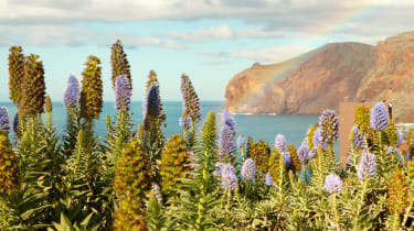 Smukke Madeira