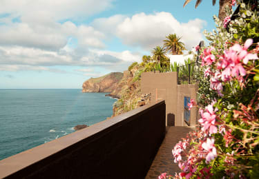 Smuk natur på Madeira. Besøg Madeira til vinter 2024/2025