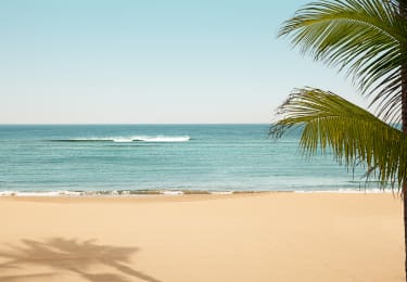 Las Palmas, Gran Canaria - besøg stranden til vinter 2024/25