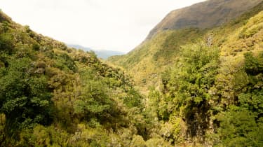 Vandring langs en af Madeiras smukkeste levadaer.