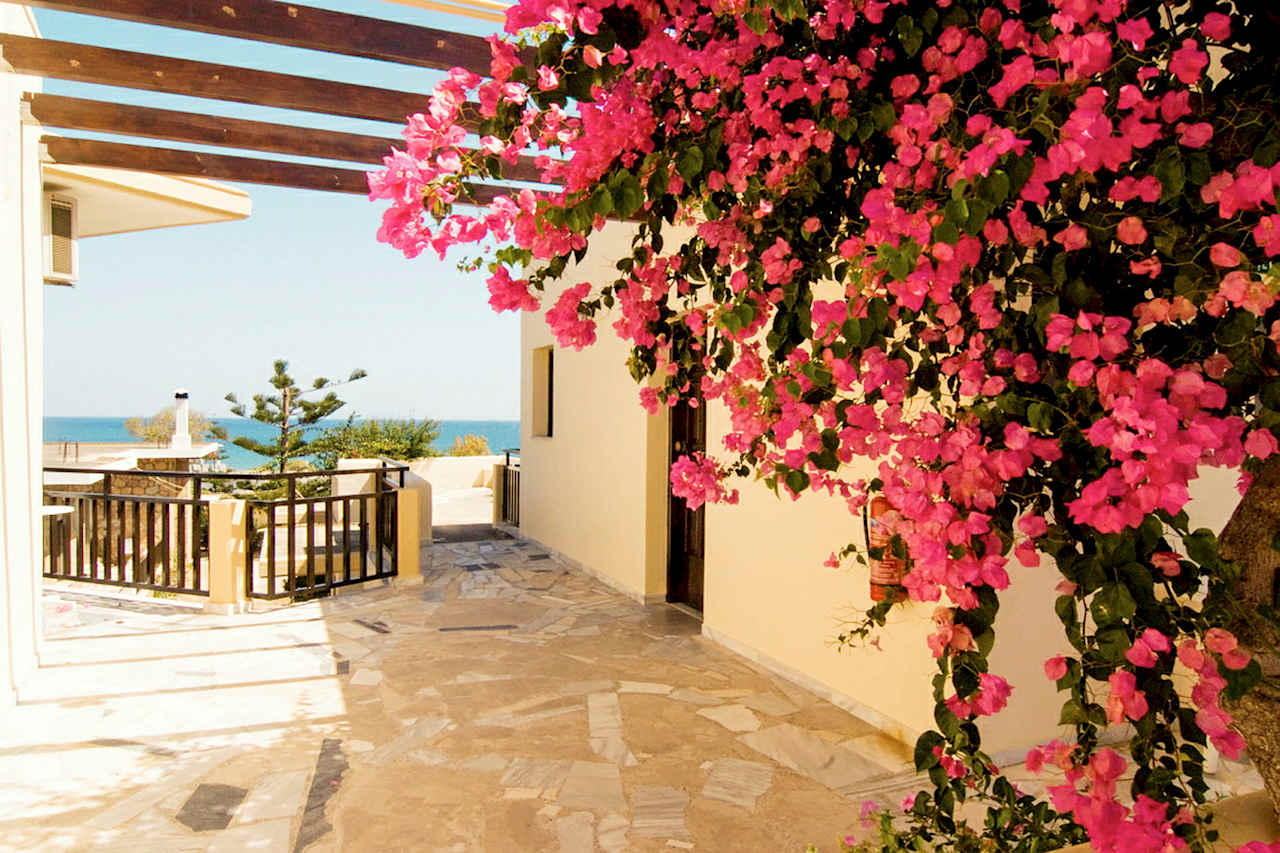 Billede av hotellet Belvedere - nummer 1 af 29