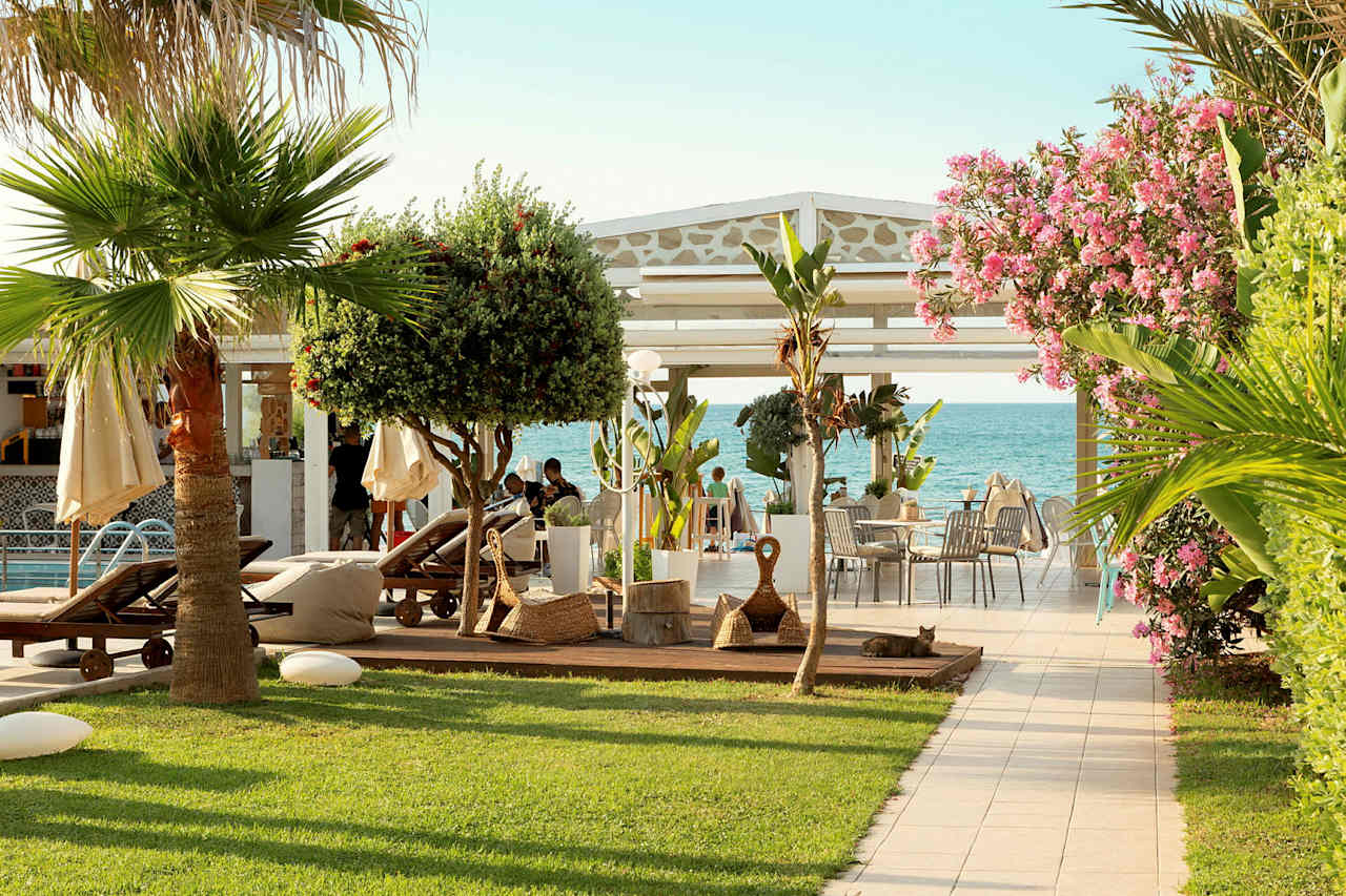 Billede av hotellet Tropicana Beach Hotel - nummer 1 af 41