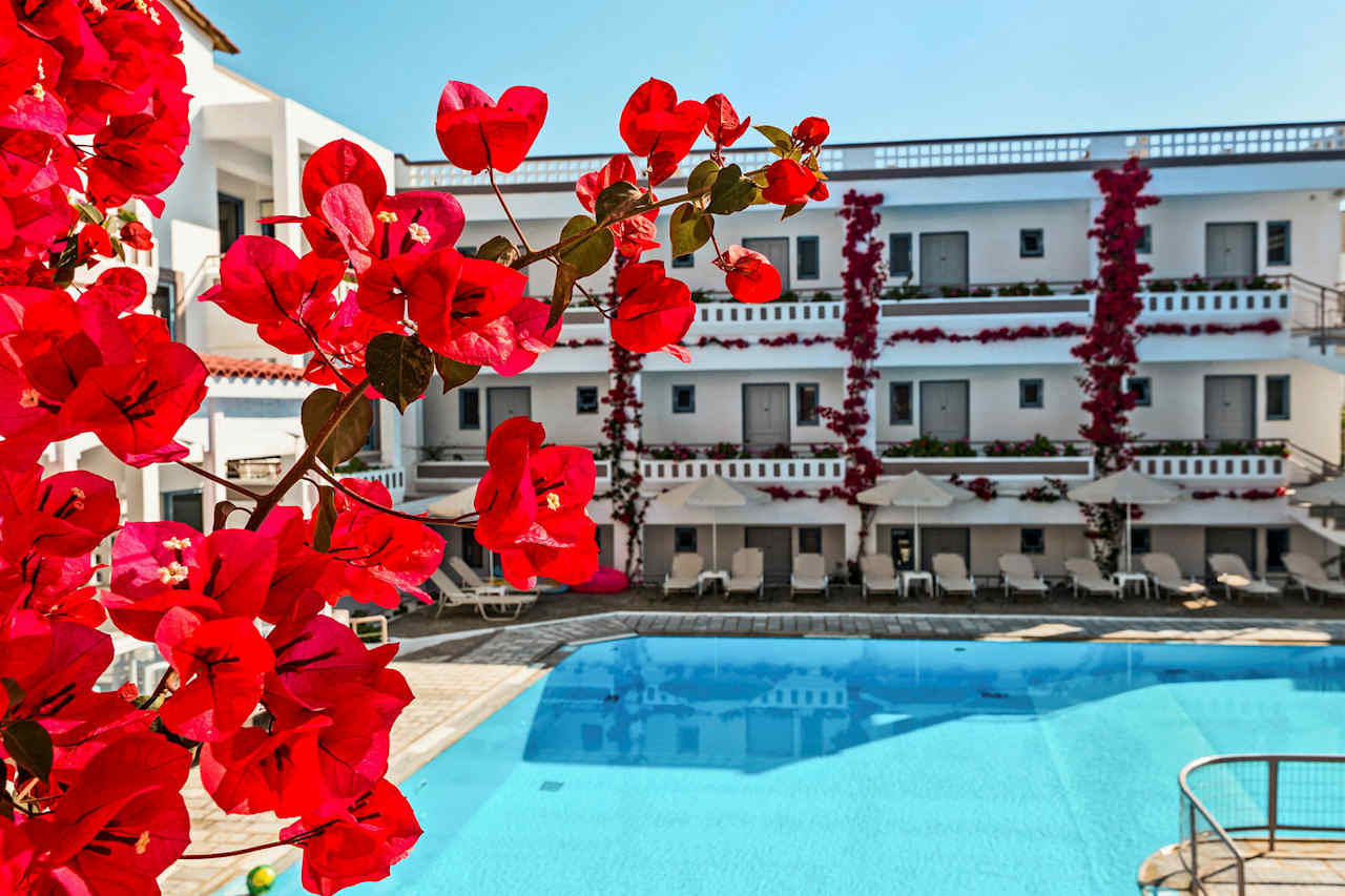 Billede av hotellet Ariadne Rethymnon - nummer 1 af 22