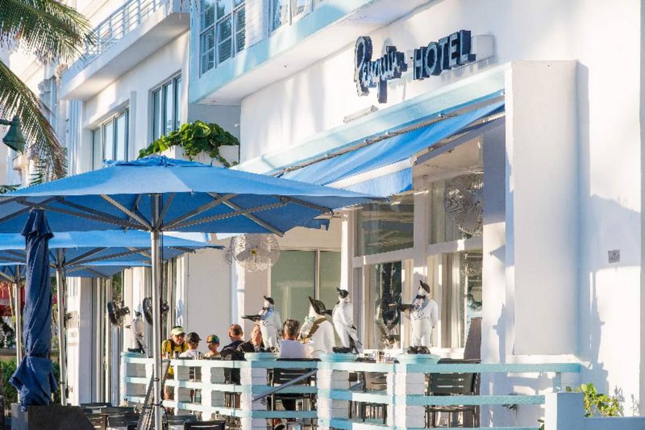 Billede av hotellet Penguin Hotel - nummer 1 af 53
