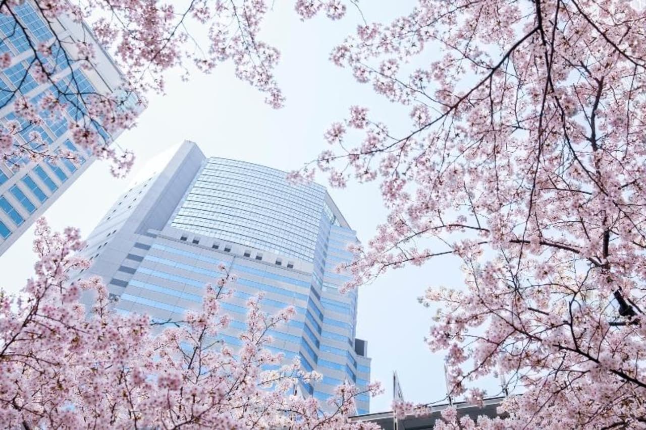 Billede av hotellet The Strings By Intercontinental Tokyo - nummer 1 af 381