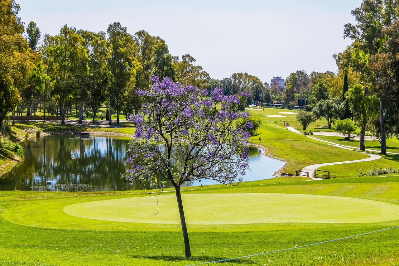 Cirka 3 km fra hotellet findes to 18-hullers golfbaner