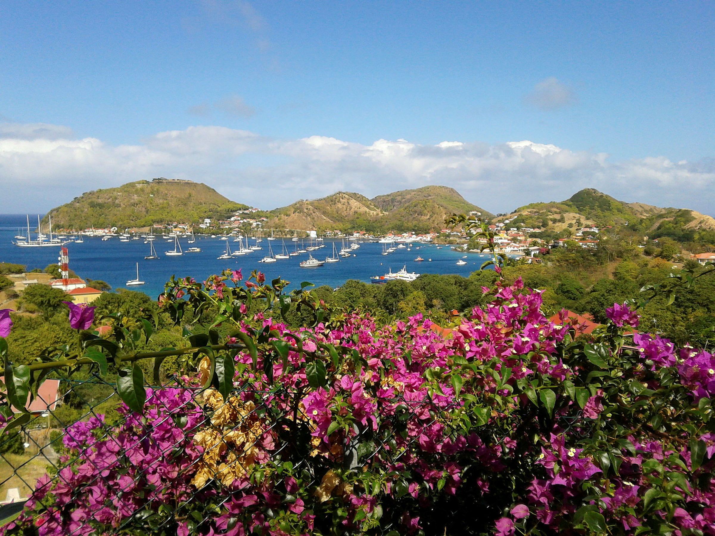 Udsigt over en bugt med sejlbåde omgivet af bjerge og grønne områder, med blomstrende bougainvillea i forgrunden. (AI-genereret tekst)