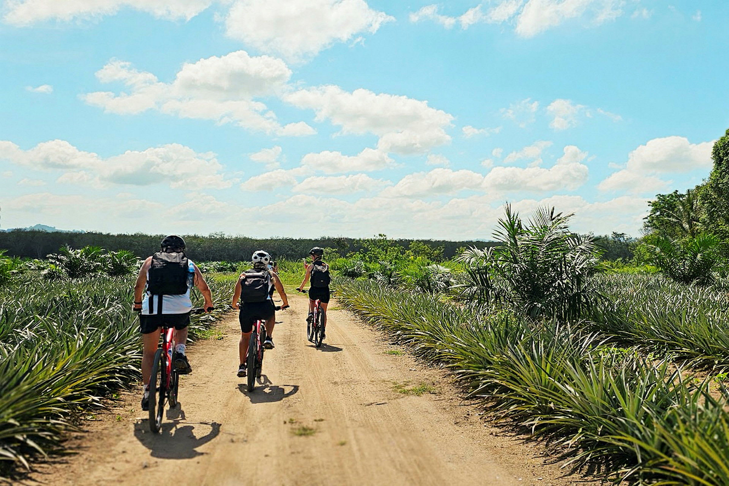 Fire personer cykler på en grusvej omgivet af grøn vegetation under en himmel med skyer. (AI-genereret tekst)