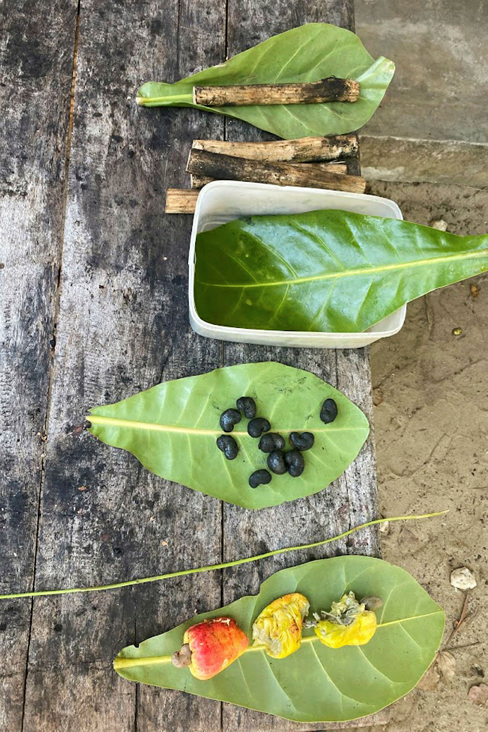 Et træbord med blade, små grene, sorte frø og cashewnødder. (AI-genereret tekst)