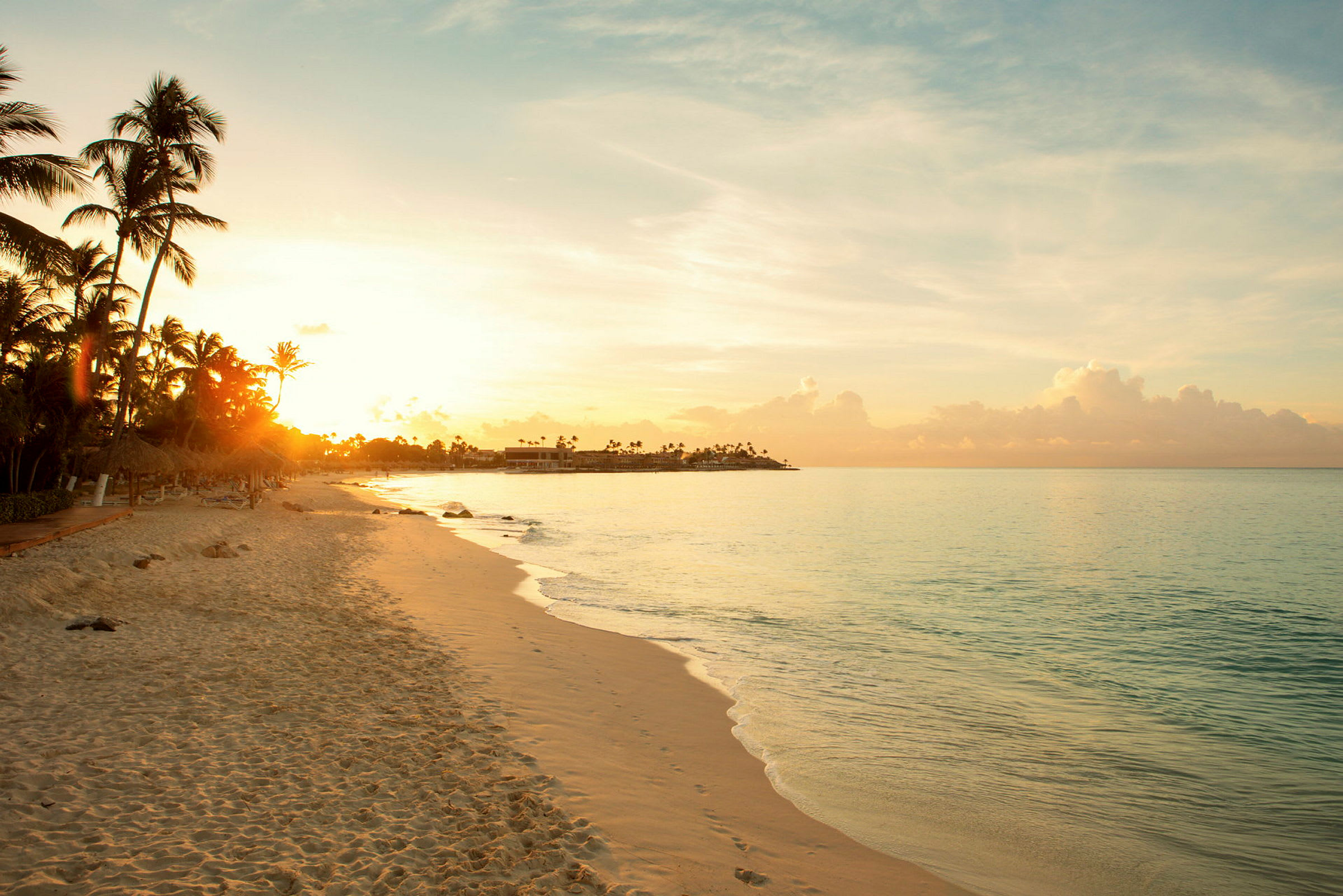 Billede af en sandstrand med palmer og en solnedgang over havet. (AI-genereret tekst)