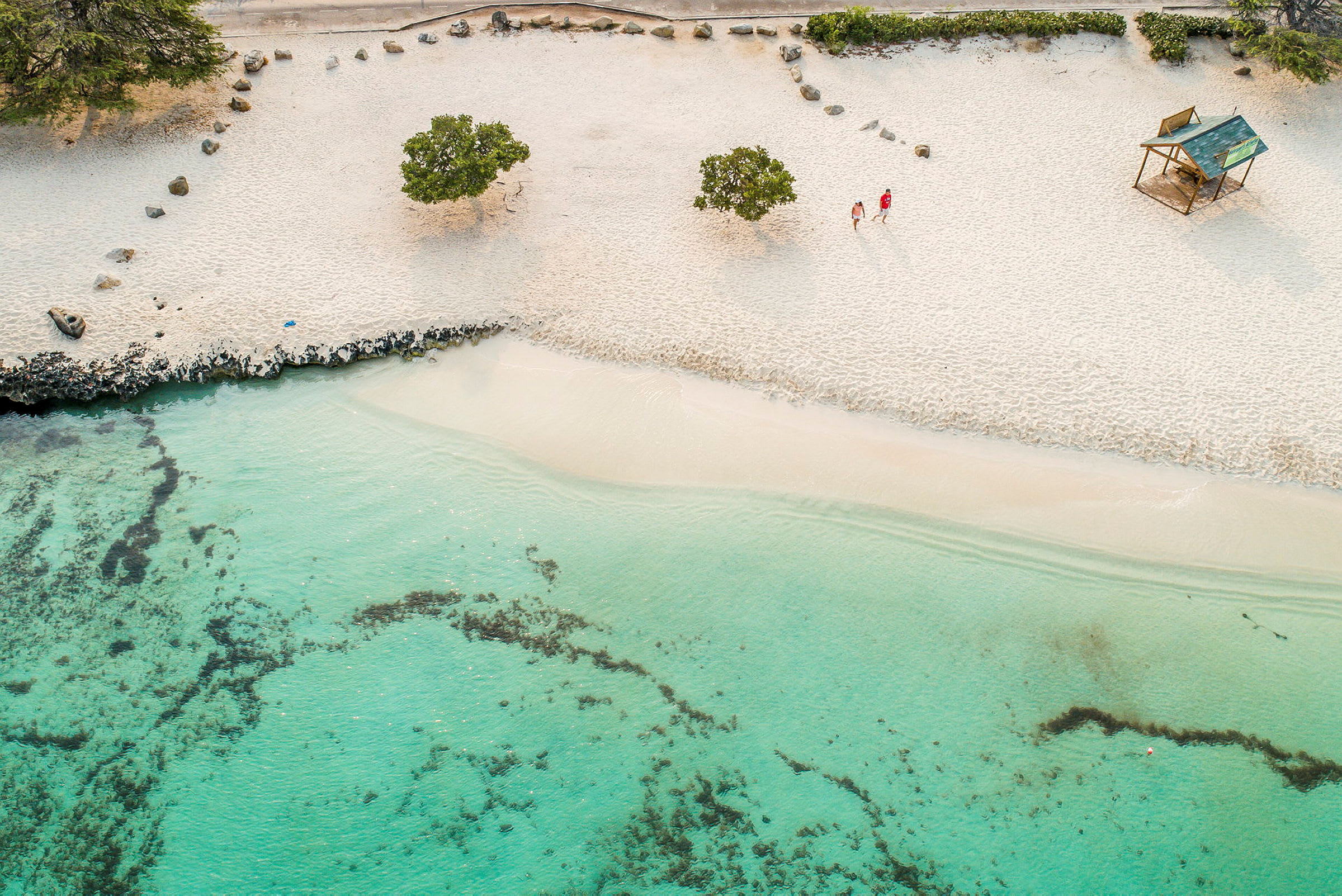 En strand med hvidt sand, grønne buske og klart turkis vand ses på billedet. To personer går på stranden ved siden af en lille træhytte. (AI-genereret tekst)